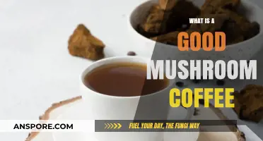 Discover the Perfect Blend: What Makes a Good Mushroom Coffee