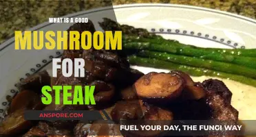 Perfect Mushroom Pairings: Elevating Your Steak with Savory Fungal Flavors