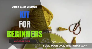 Best Beginner Mushroom Kits: Easy Grow-at-Home Options for New Growers