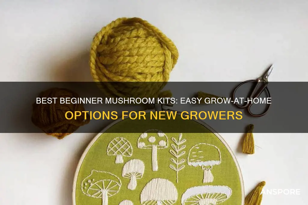 what is a good mushroom kit for beginners