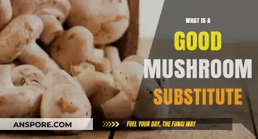 Discover the Best Mushroom Substitutes for Flavor and Texture