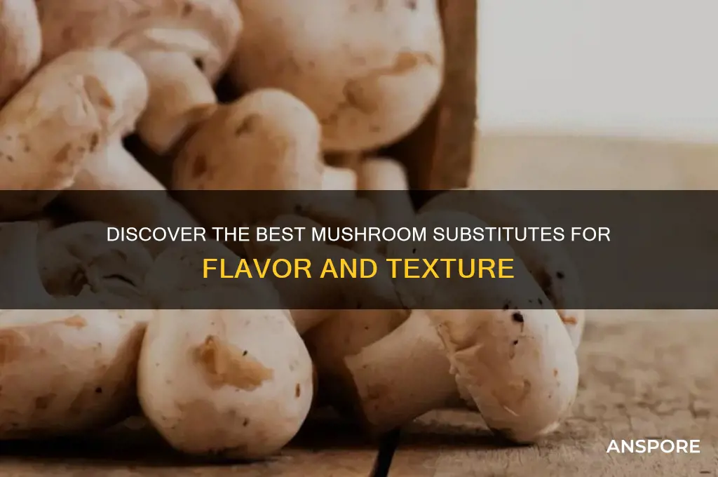what is a good mushroom substitute