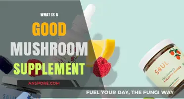 Discover the Best Mushroom Supplement for Optimal Health and Wellness