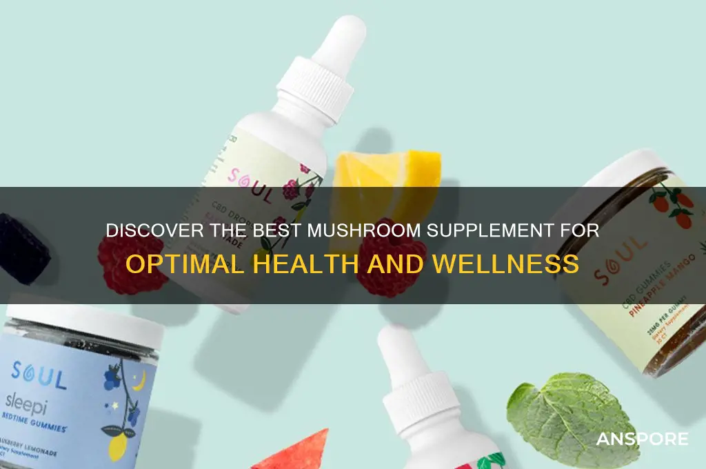 what is a good mushroom supplement