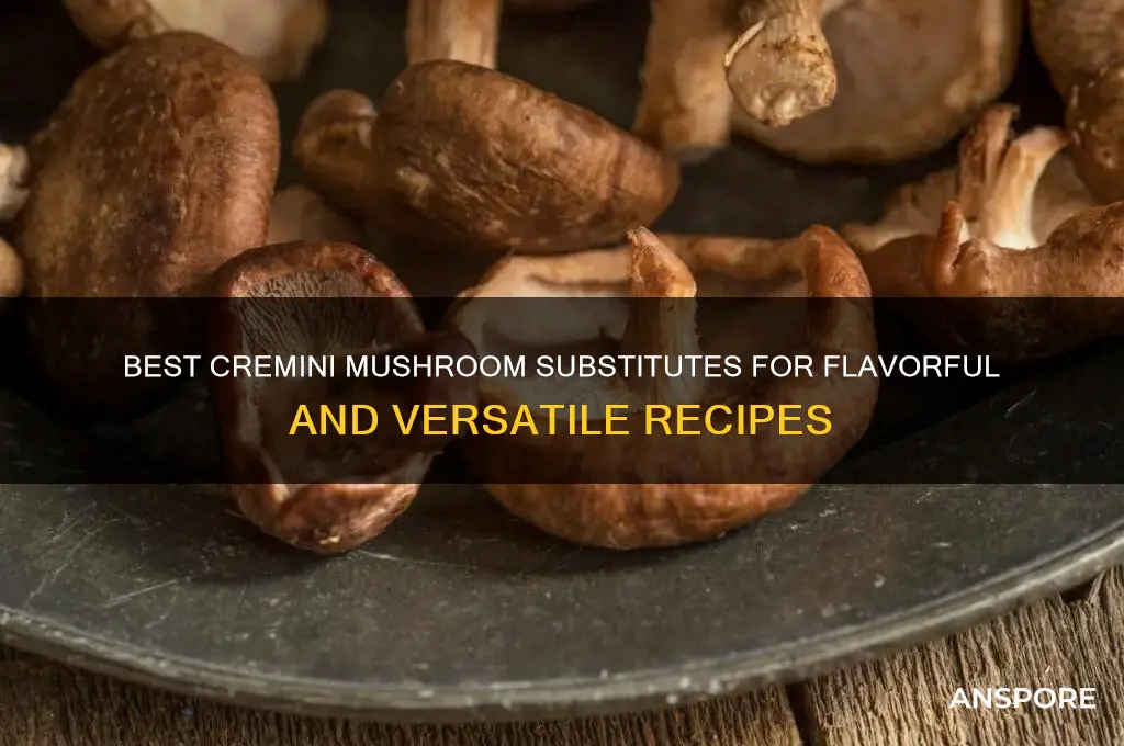 what is a good sub for cremini mushrooms