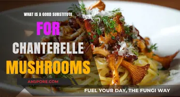 Delicious Alternatives: Best Substitutes for Chanterelle Mushrooms in Recipes