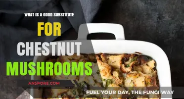 Perfect Substitutes for Chestnut Mushrooms in Your Favorite Recipes