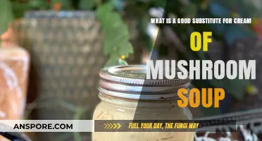 Cream of Mushroom Soup Alternatives: Healthy and Delicious Substitutes to Try