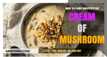 Cream of Mushroom Alternatives: Tasty Substitutes for Your Favorite Recipes