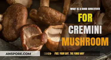 Best Cremini Mushroom Substitutes: Enhance Your Recipes with These Alternatives