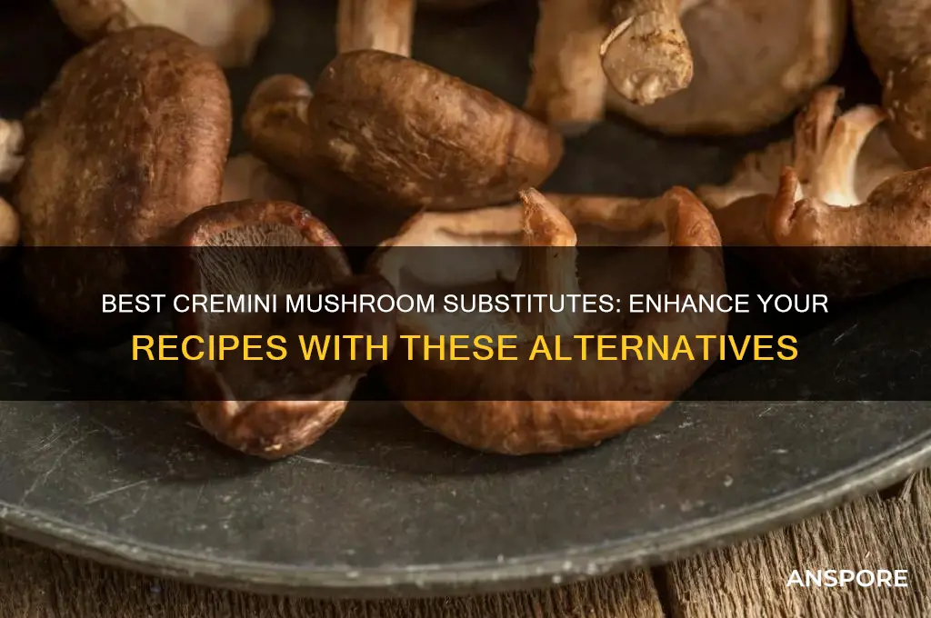 what is a good substitute for cremini mushrooms