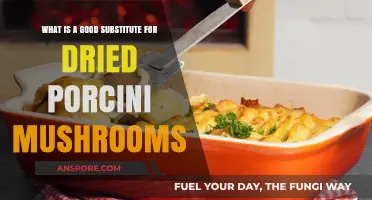 Best Dried Porcini Mushroom Substitutes for Rich, Earthy Flavor in Recipes