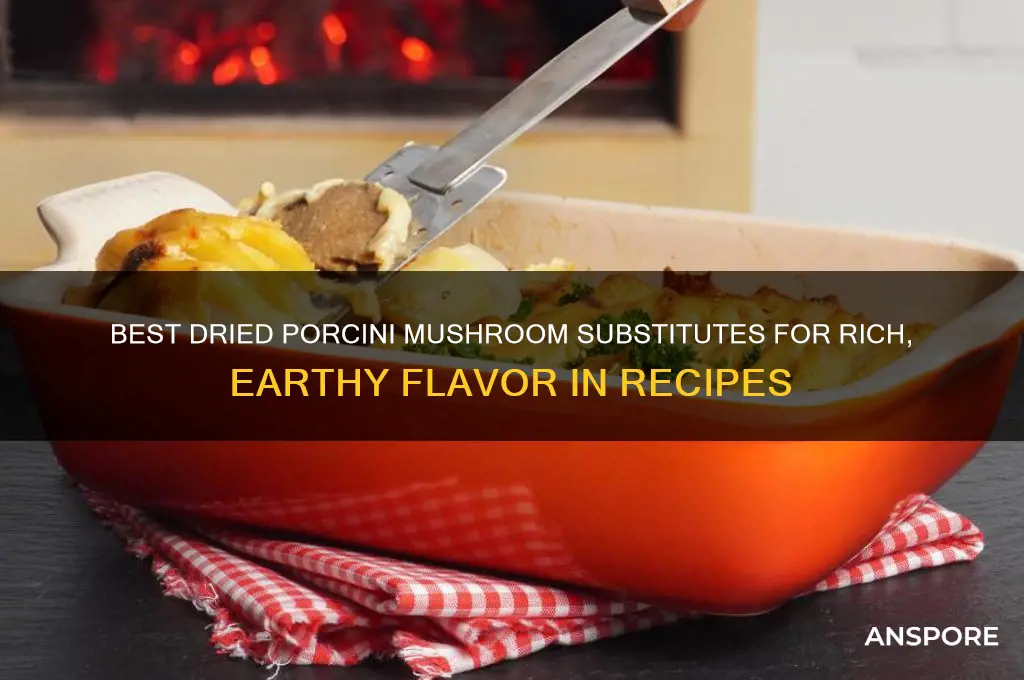 what is a good substitute for dried porcini mushrooms
