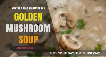 Delicious Alternatives: Best Substitutes for Golden Mushroom Soup Revealed