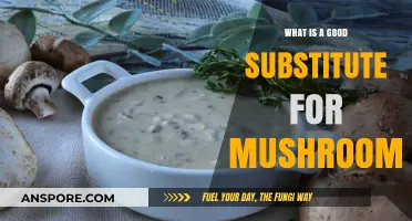 Exploring Tasty Mushroom Alternatives: Creative Substitutes for Every Recipe