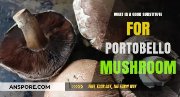 Delicious Alternatives to Portobello Mushrooms for Your Next Recipe