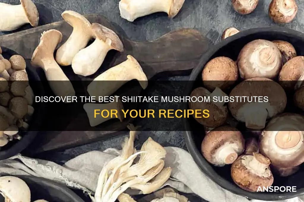 what is a good substitute for shiitake mushrooms