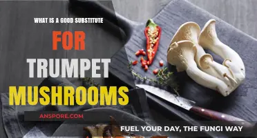 Best Trumpet Mushroom Alternatives: Tasty and Versatile Substitutes to Try