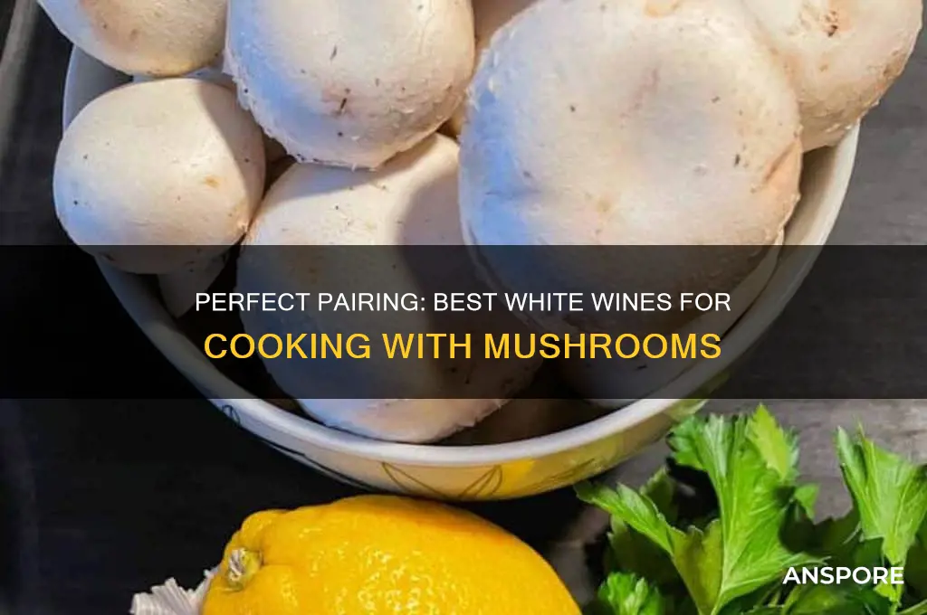 what is a good white wine to cook with mushrooms
