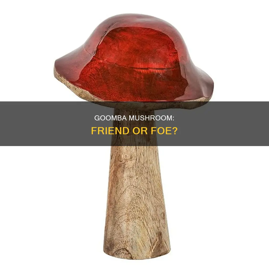 what is a goomba mushroom