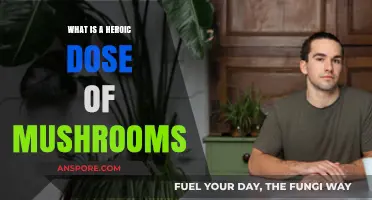 Exploring the Heroic Dose: Psilocybin Mushrooms' Transformative Potential