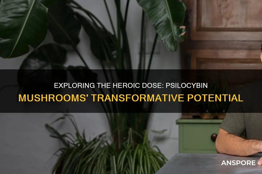 what is a heroic dose of mushrooms