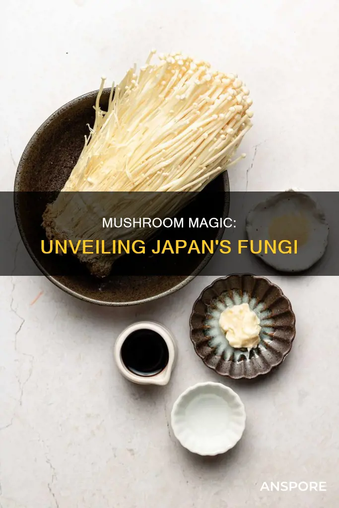 what is a japanese mushroom