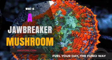 Unveiling the Jawbreaker: A Mushroom Mystery