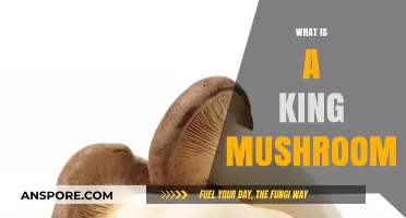 King Mushroom: A Tasty Giant