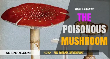 Understanding the Law of the Poisonous Mushroom: A Legal Overview