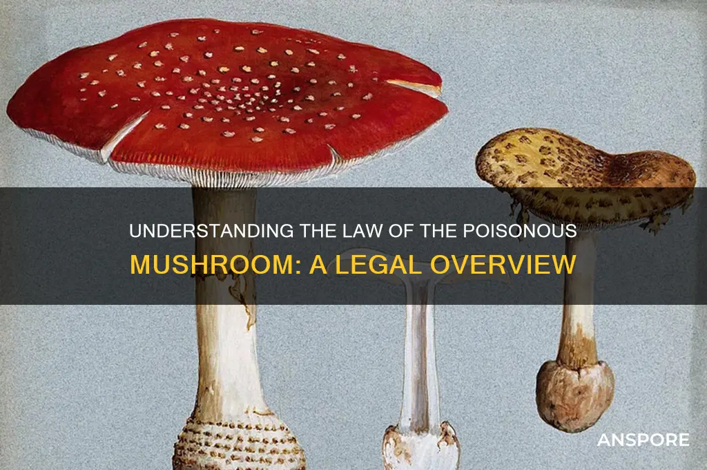 what is a law of the poisonous mushroom