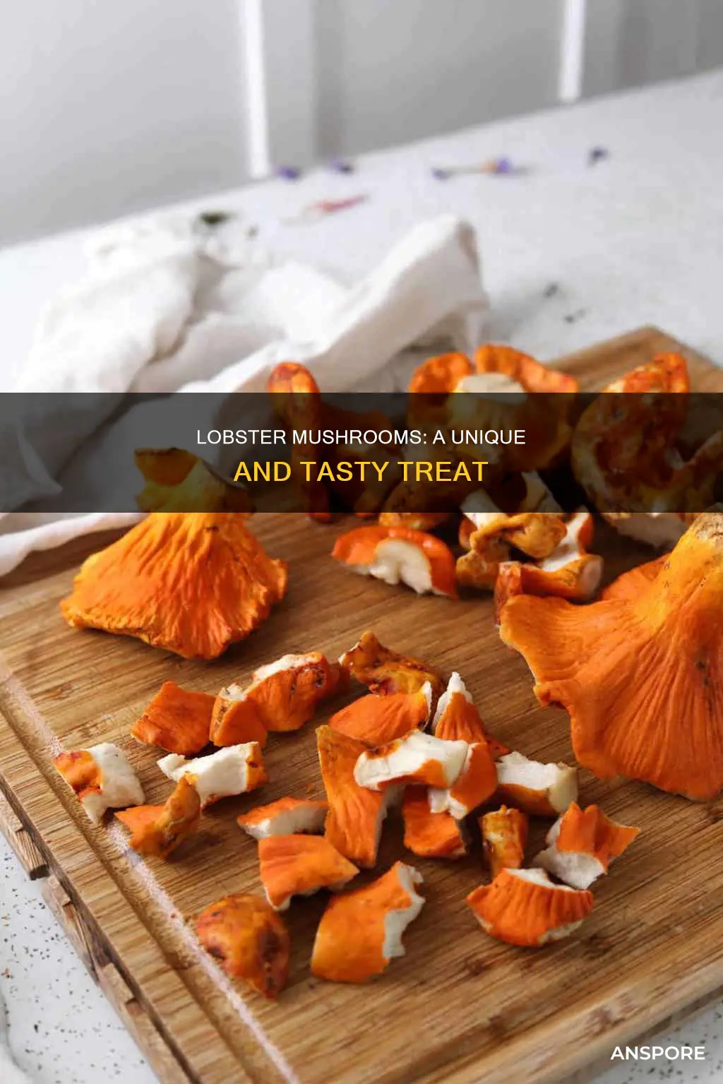 what is a lobster mushroom