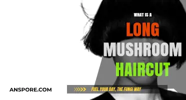 Long Mushroom Haircut: A Trendy, Retro-Inspired Hairstyle Explained