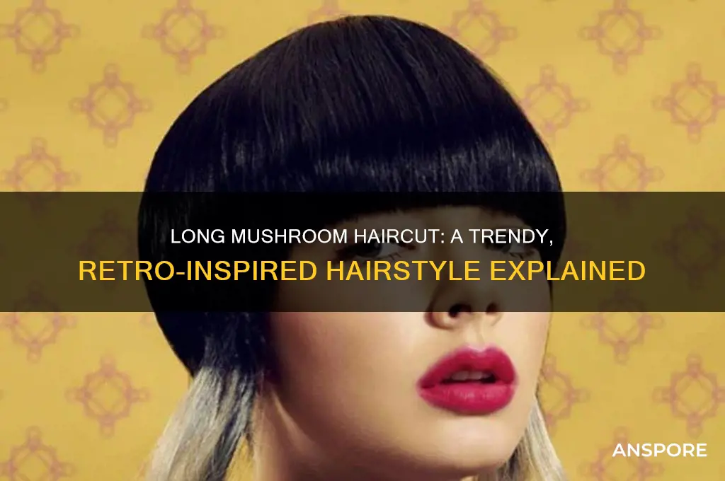 what is a long mushroom haircut