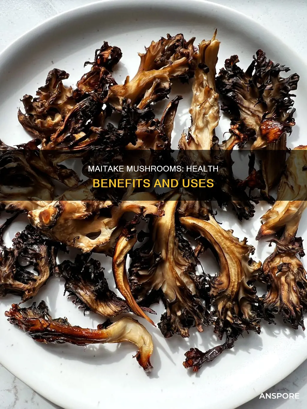 what is a maitake mushroom