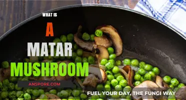 Matar Mushroom: A Delicious Combination