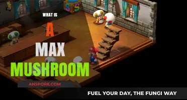 The Magic of Max Mushrooms: Nature's Superfood