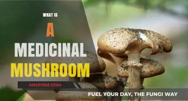 Mushroom Medicine: Unlocking Nature's Healing Power