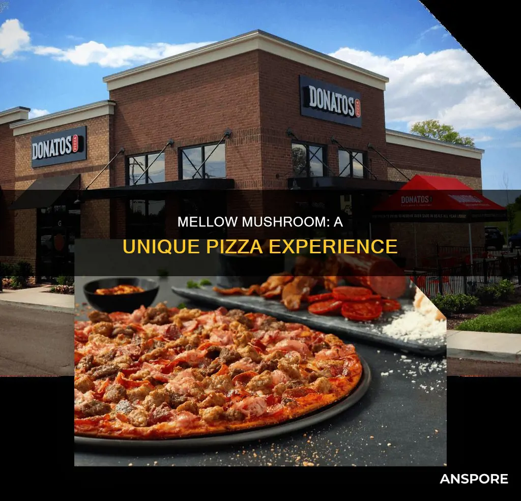 what is a mellow mushroom