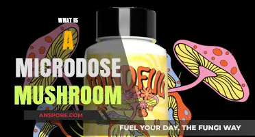 Microdose Mushrooms: Benefits and Uses