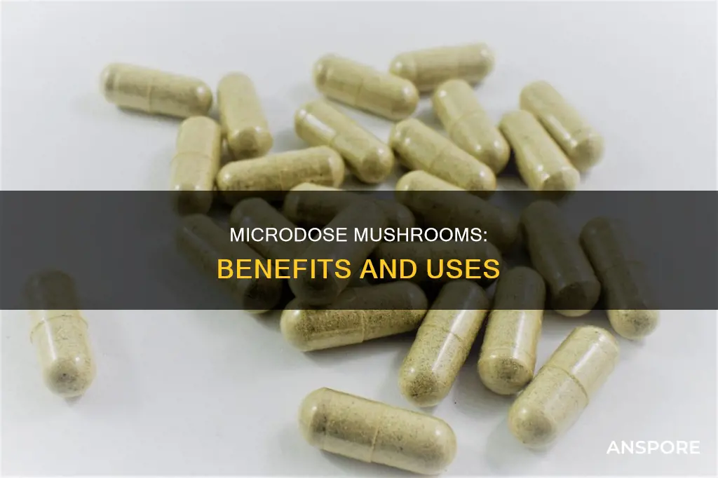 what is a microdose mushroom