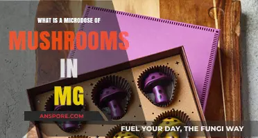 Understanding Microdosing: How Many Milligrams of Mushrooms is a Microdose?
