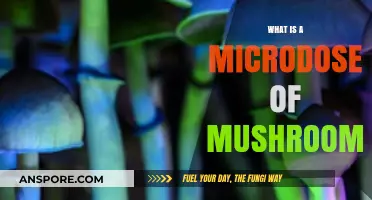 Exploring Microdosing: Understanding Small Doses of Magic Mushrooms