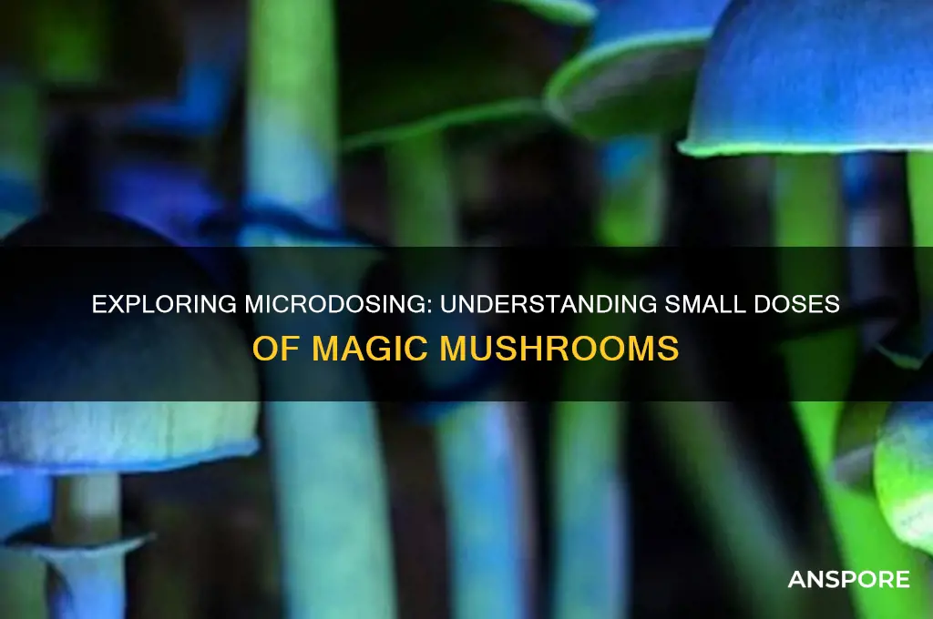 what is a microdose of mushrooms