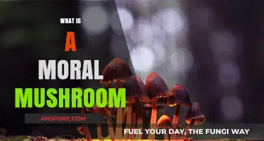 Magic Mushrooms: Exploring the Morality of Psychedelics