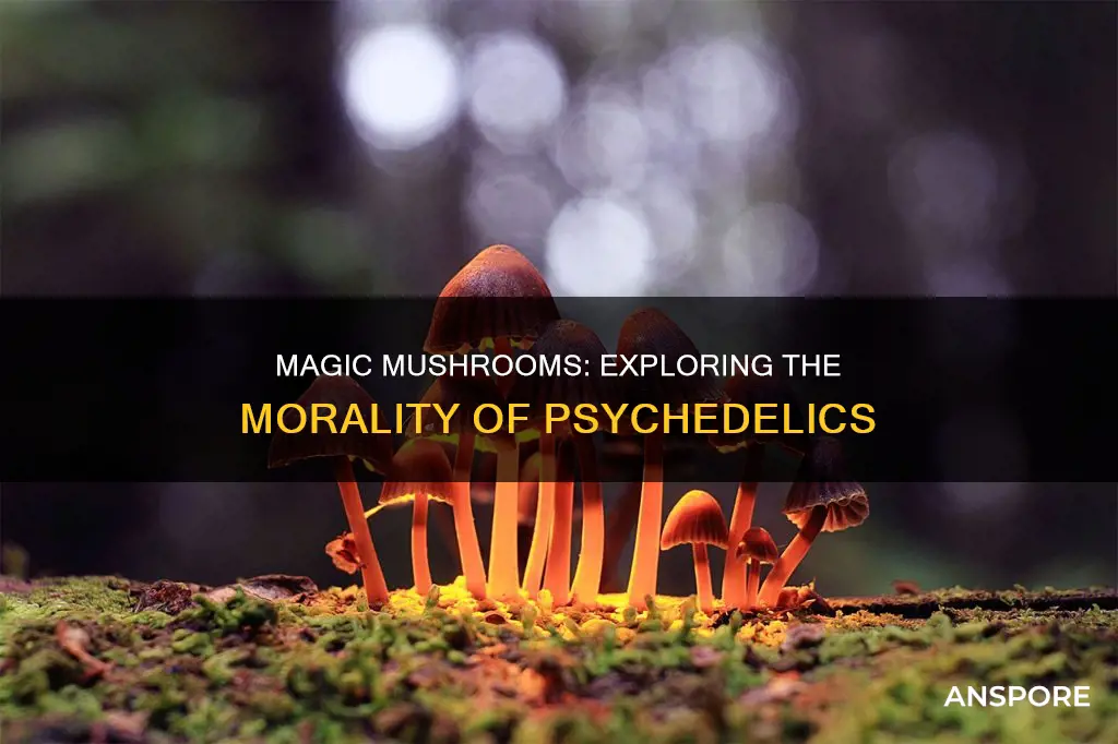 what is a moral mushroom