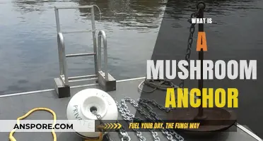 Mushroom Anchors: A Boater's Guide to Mooring