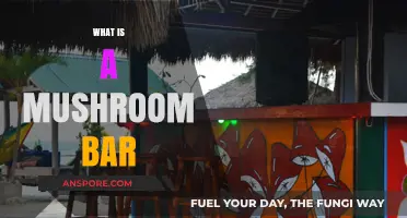 Mushroom Bars: A New Way to Experience Psychedelics