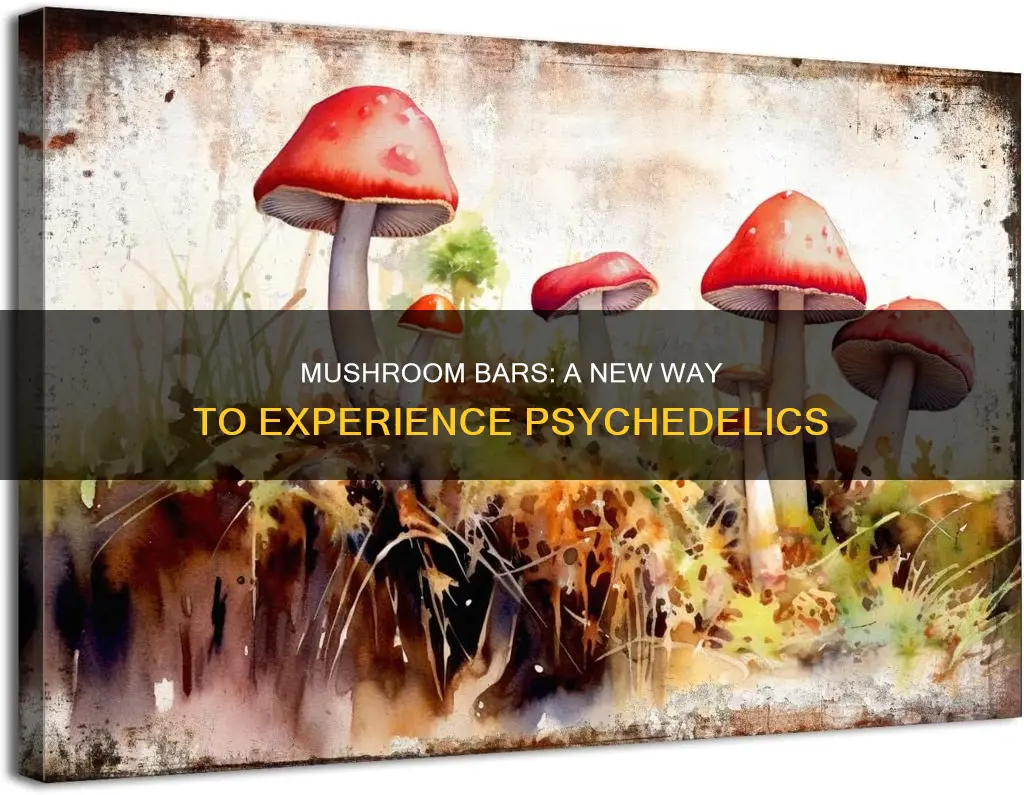 what is a mushroom bar