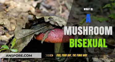 Mushroom Bisexuality: Nature's Unique Attraction
